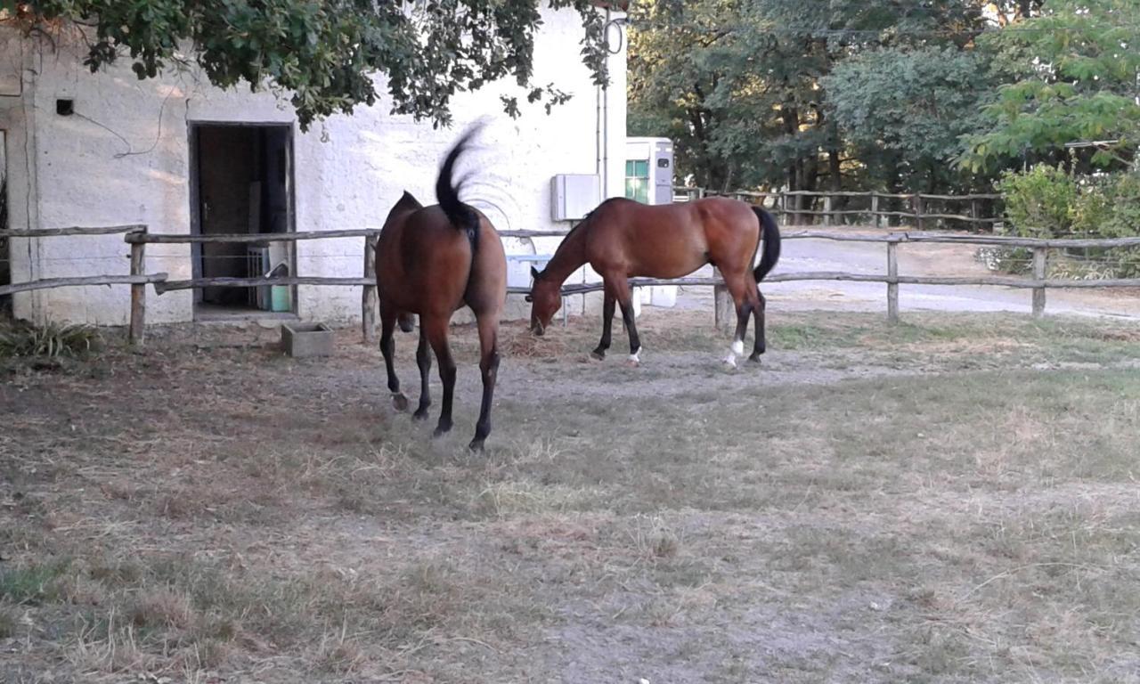 Pailloles Ferme Equestre Des Abrons 빌라 외부 사진