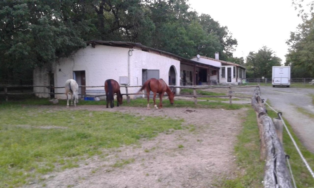 Pailloles Ferme Equestre Des Abrons 빌라 외부 사진
